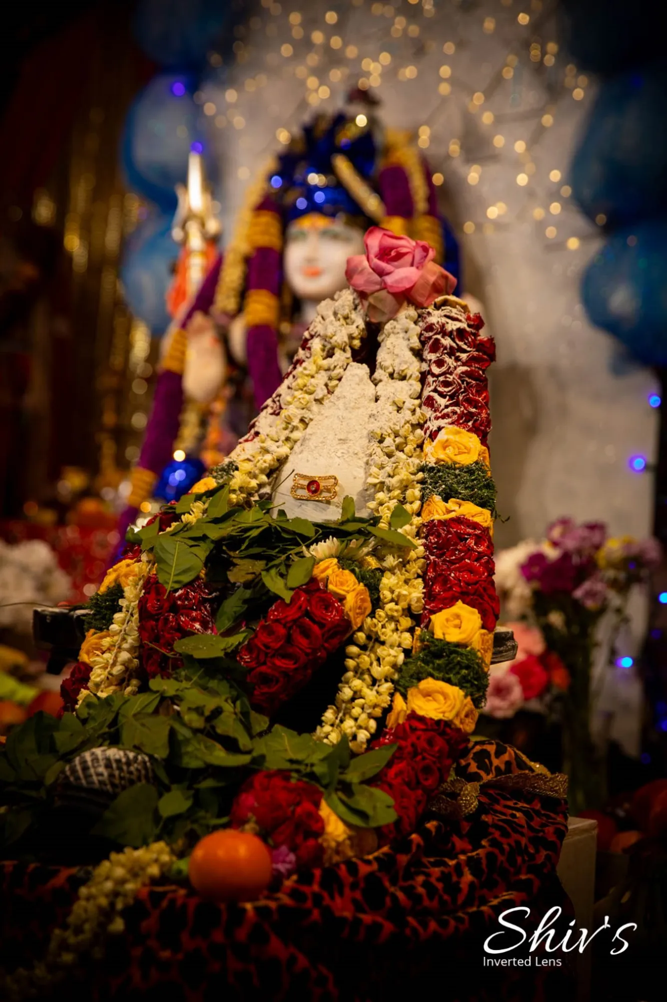 Mahashivratri 10